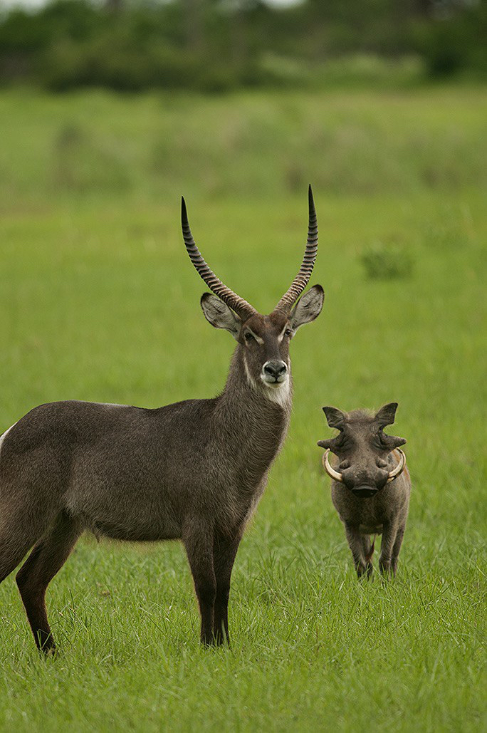 Rolf Muller – Um Ponto de Vista Foto 14826