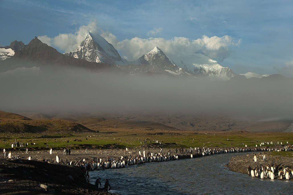 Rolf Muller – Um Ponto de Vista Foto 23674