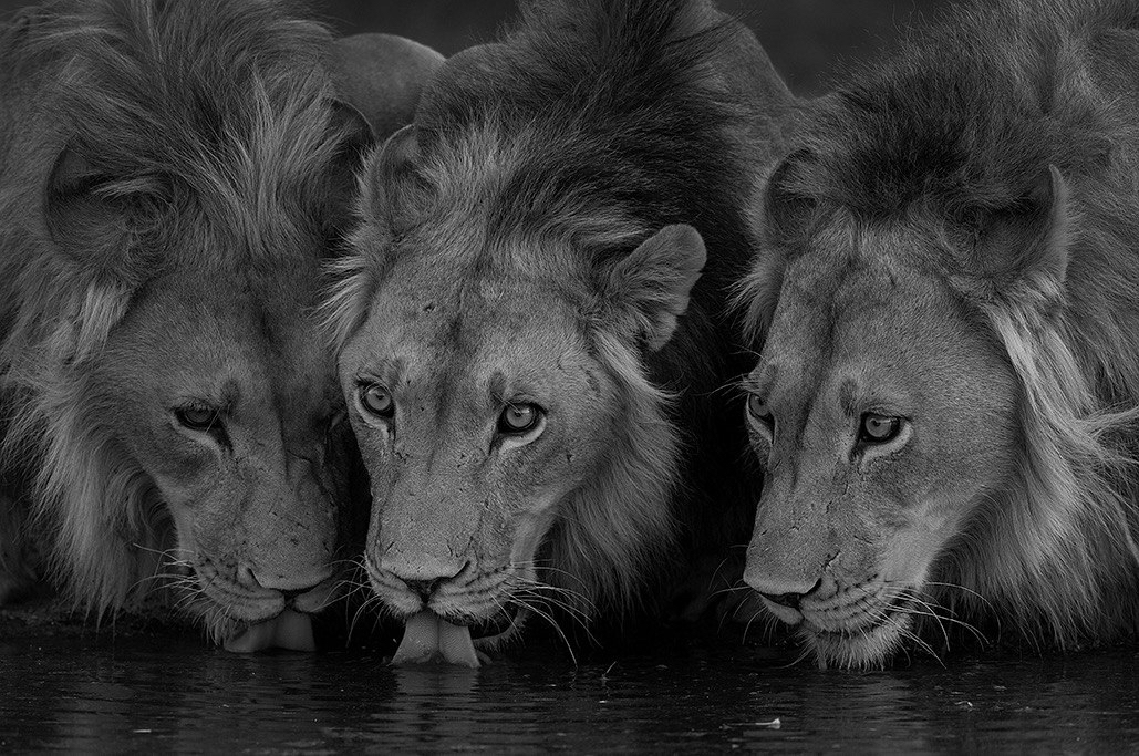 Rolf Muller – Um Ponto de Vista Foto 3953