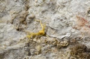 Zilamar TaZilamar Takeda. Sticker. 2019 Feltragem e colagem. 300 cm x 300 cm x 5 cmkeda. Sticker (detalhe). 2019 Feltragem e colagem. 300 cm x 300 cm x 5 cm