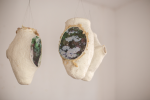 Zilamar-Takeda-2020-07-Aurora-2015