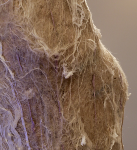 Zilamar-Takeda-2020-09-Party_Dress-2013-2