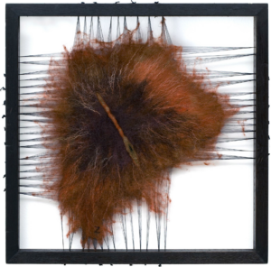 Zilamar-Takeda-2020-12-Solidao-2010