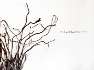 Zilamar Takeda - O TRABALHO DE ZILAMAR POR UM FIO, COMO UMA LÍDIA ARACNE.