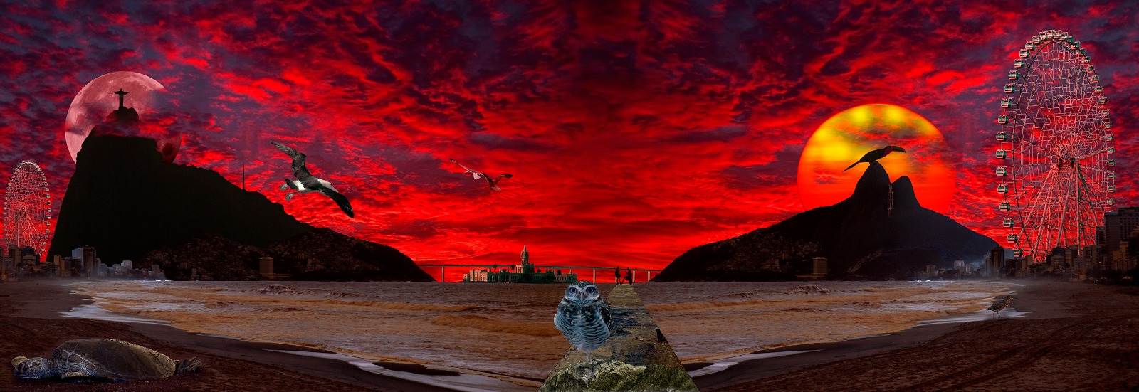 Rolf Muller - Corujando Rio de Janeiro-Recorte de imagens de diversas paisagens do Rio de Janeiro-2022