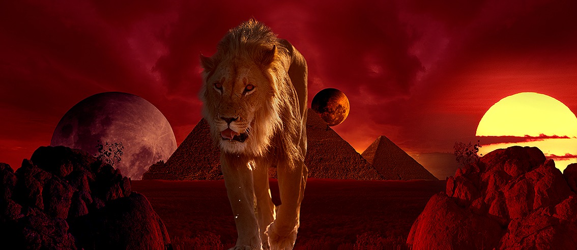 Rolf Muller - Leão do Egito-Recorte e montagem de imagens de diversas viagens-2021